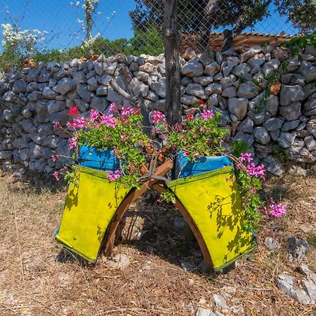 App Bonic * Veli Lošinj
