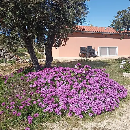 Lejlighed App Bonic Veli Lošinj