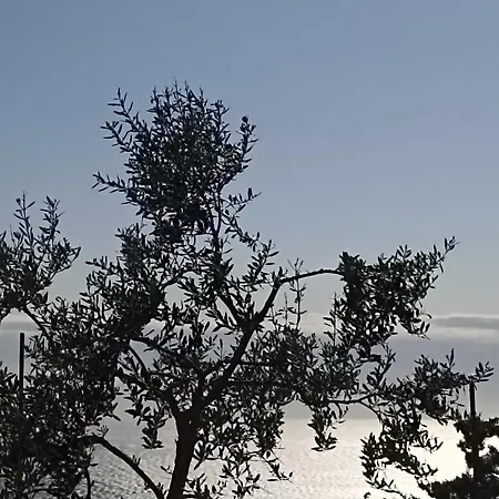 App Bonic Apartamento