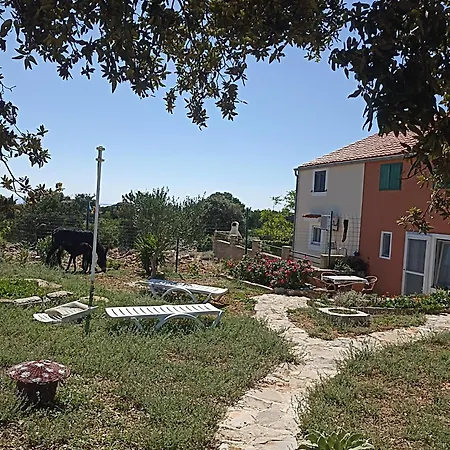 Apartamento App Bonic