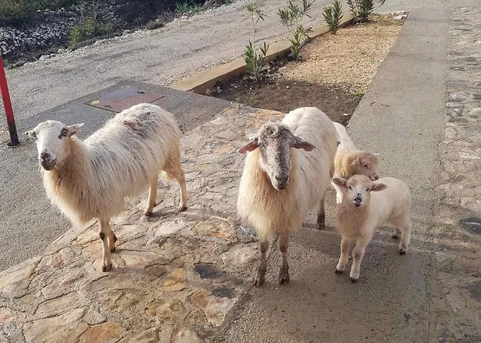 Apartman App Bonic Veli Losinj