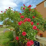 App Bonic * Veli Lošinj