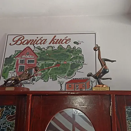 Appartamento App Bonic Lussingrande