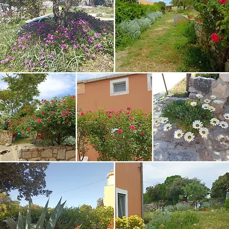 App Bonic Appartamento