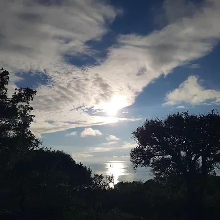 App Bonic Appartement *