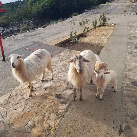 Appartement App Bonic Veli Lošinj