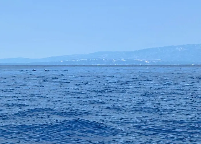 Apartmán App Bonic Sa Balkonom I Pogledom Na Veli Lošinj