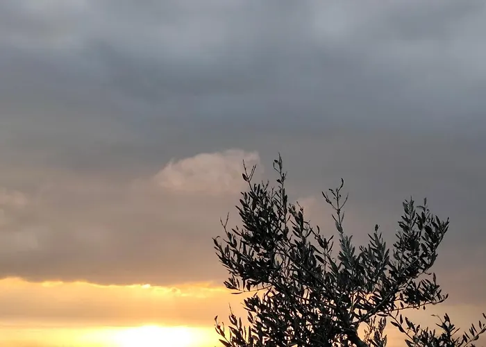 App Bonic Sa Balkonom I Pogledom Na Veli Lošinj