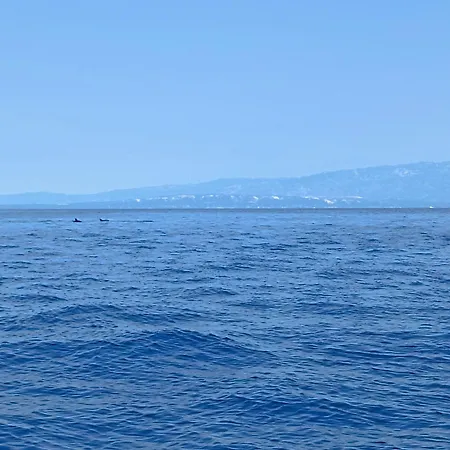 Apartmán App Bonic Veli Lošinj