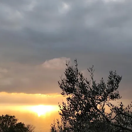 App Bonic * Veli Lošinj